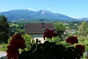 Casa La Marin Borșa