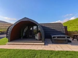 Oyster Catcher - Weathercote