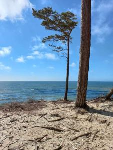 Dvaro slenio cottage with terrace and parking