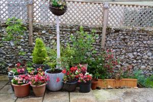 The Pink Door Seaside Holiday Home