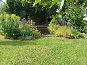 Villa Knoche