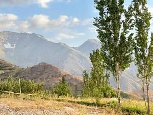 Shahzod Guesthouse - Toshmunor