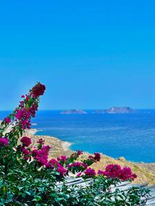 Artemis Traditional House