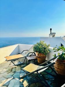 Artemis Traditional House