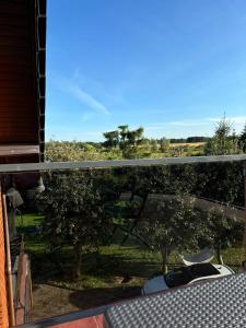 Czerwony Kamień RUBIN