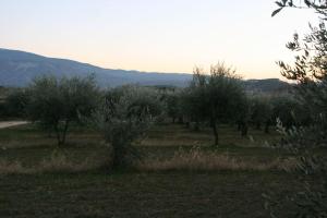 Maisons de vacances Maison paisible coeur du Ventoux : photos des chambres