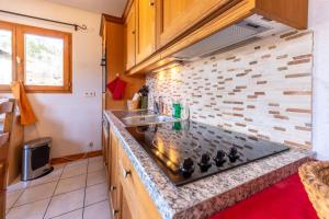 Appartements Le Chatellard - Proche Piste de Ski : Appartement 1 Chambre