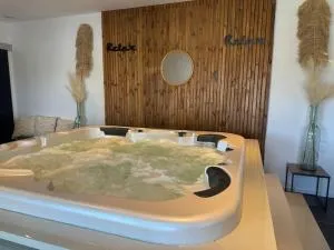 Maison spacieuse spa & jardin - Guilers