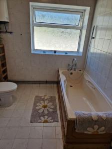 Houses by the sea Surge View