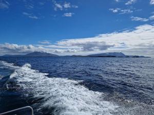 Houses by the sea Surge View