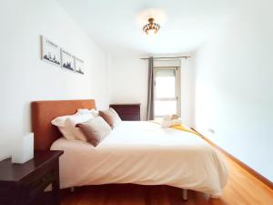 ML85 Beach by Wave Properties