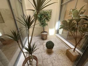 Archeros Suite, Centro de Sevilla