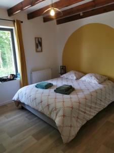 B&B / Chambres d'hotes Le Moulin d'Audenfort : photos des chambres
