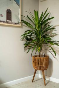 Ocean Home Sweet Home - Suite 1