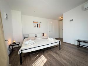 Villa Gaudeo with pool and EV station