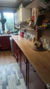 Campings Mobilhome vintage dans camping a la ferme : photos des chambres