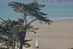 B&B / Chambres d'hotes La Saint Pabu-lle : photos des chambres