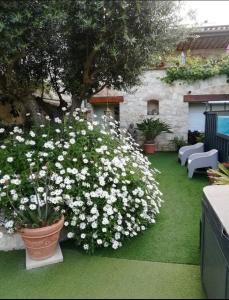 B&B / Chambres d'hotes VILLA ARTEMIA Maison vigneronne - chambre d hotes-B&B-piscine : photos des chambres