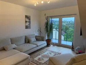 WORKATION Adler Taunusblick , 3-4 Personen, Balkon, 2 Badezimmer, Riesen Küche, Waschmachine, viel Platz, Privatparkplatz - Falkenstein