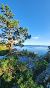 Vänern Lakeside Cliff House