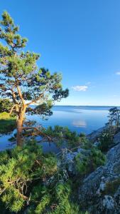 Vänern Lakeside Cliff House