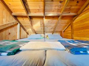 Varsovia, casa de madera biblioteca