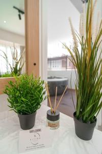 Kition Urban Suite 2