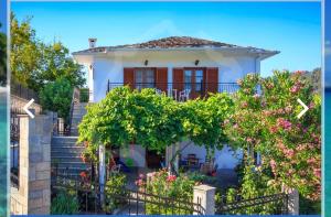 Zeus Guesthouse