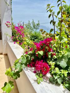 Despoinas Maisonette at Rafaella Resort