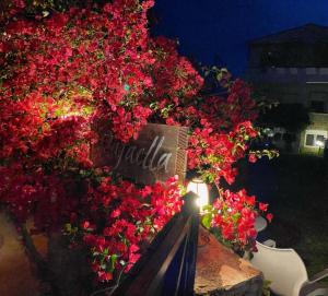 Despoinas Maisonette at Rafaella Resort