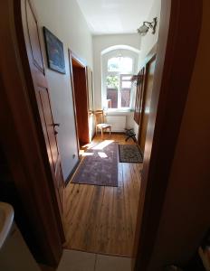 Apartment Under the Maple