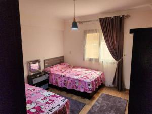 مدينة العبور