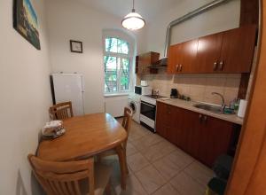 Apartment Under the Maple