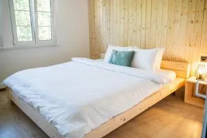 Vista Todtnauberg 2 - 姆根布朗