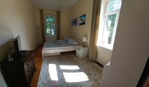 Apartment Under the Maple