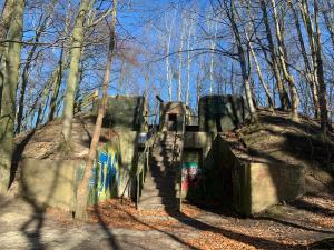 Przy nadmorskim lasku