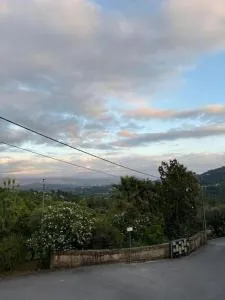 Casa das Oliveiras - Ribas