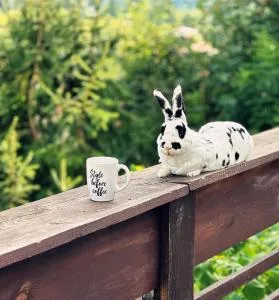 Doi Iepuri - 阿祖加