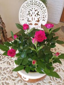 Un passo dai Trabocchi