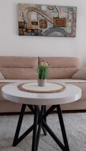 Apartment Milica