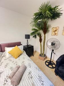 Tinajas Penthouse Views