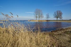 Chalet nabij water in Langweer