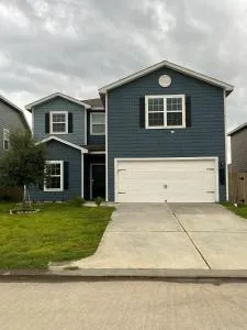 Magnolia Blooms - مانغوليا