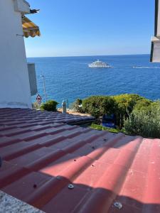 Apartments Cvjetan