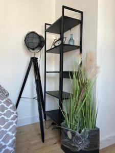 studio 2 floor Blankenberge Vrijheidstraat 3