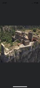 La cigale des cantarelles