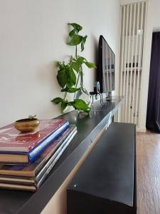 Hermoso Estudio Lavarropas Seguridad Palermo Top 50mts Trinidad