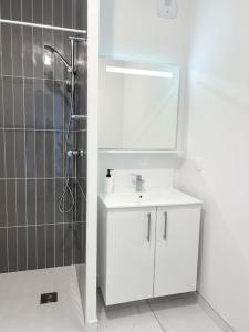 Appartements Studio in Lormont with Free Parking : photos des chambres