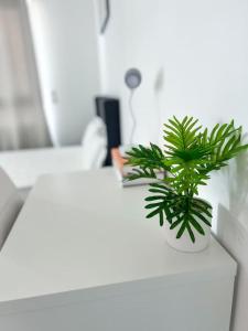 Appartements Studio in Lormont with Free Parking : photos des chambres