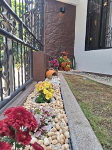 Guayacán Casa Hostal